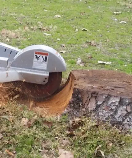 Stump removal in Kings meadows Launceston